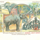 Officiële postkaart van het Barnum en Bailey circus met olifanten