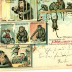 Officiële postkaart van het Barnum en Bailey circus met apen