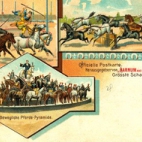 Officiële postkaart van het Barnum en Bailey circus met paarden